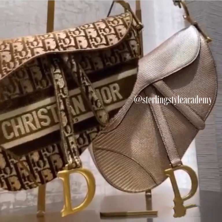 Dior Velvet Saddle Bag: Middle East Favorite in Dubai, Doha, and Riyadh