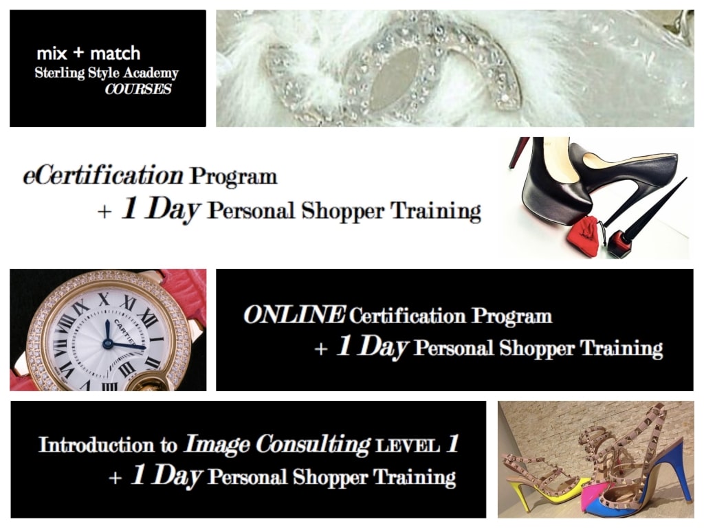 Mix + Match 1 Day Personal Shopper Training Program